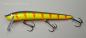 Preview: NILS MASTER INVINCIBLE SHALLOW Wobbler schwimmend, 15 cm, Farbe: 090 Petrol Tiger Red Stripes , Gewicht: 20 Gramm